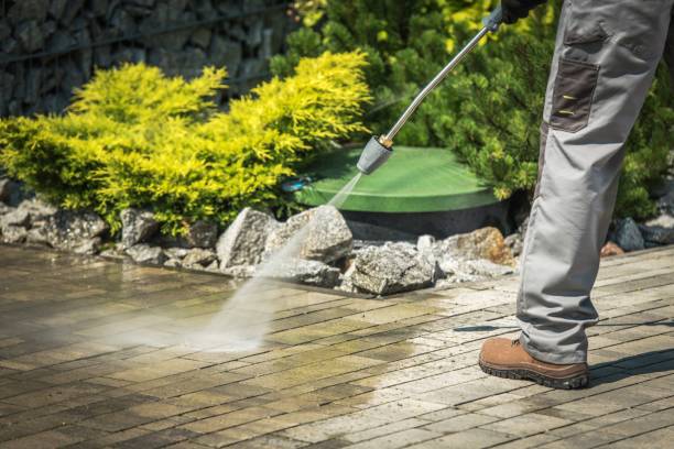 Best Oil and Grease Removal from Surfaces in Wellton, AZ