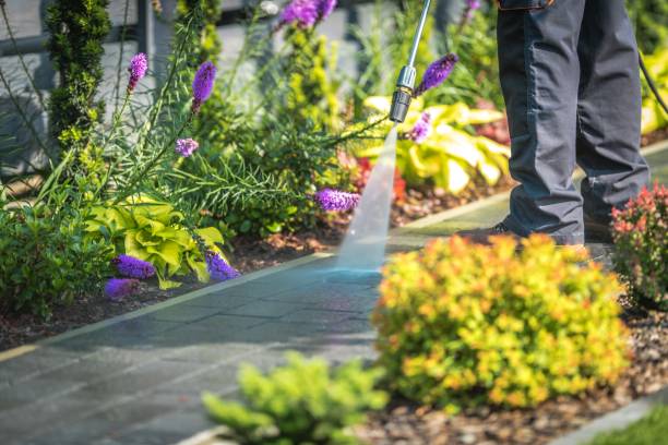 Best Brick and Stone Cleaning in Wellton, AZ